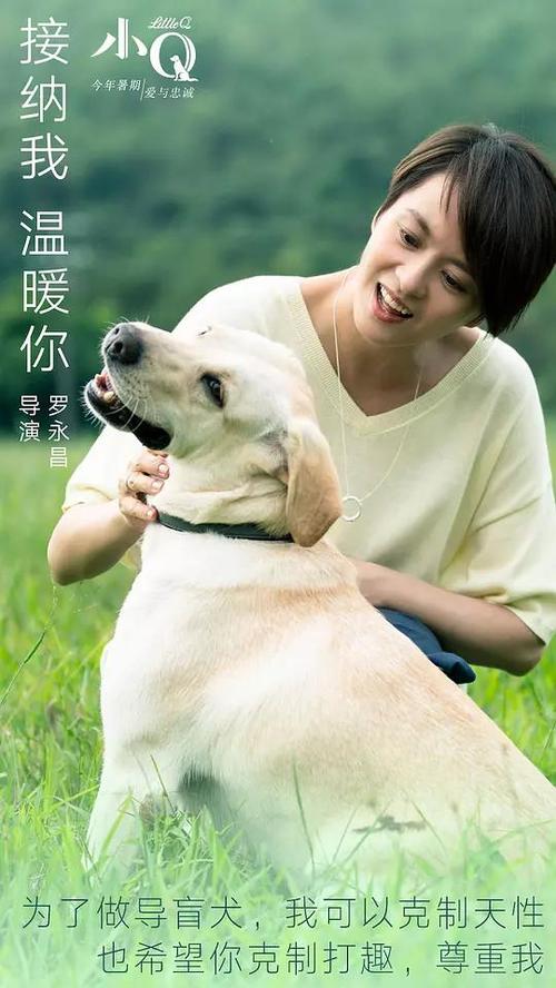 香港驾驶证换大陆驾驶证地方